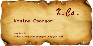 Kosina Csongor névjegykártya